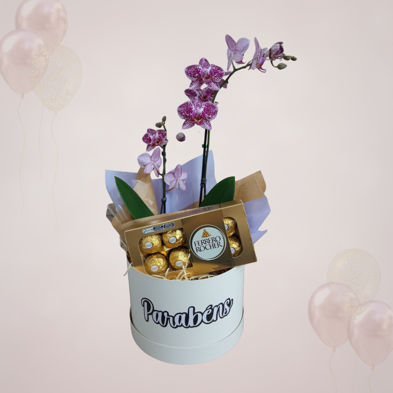 Mini Orquídea 2 Hastes Pote 9 - Cor Variada + Chocolate - Parabéns